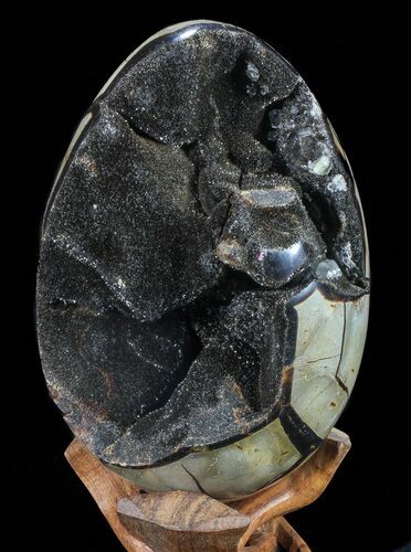 Septarian Dragon Egg Geode - Black Crystals #72057